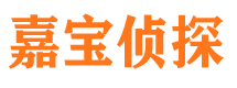 潢川侦探